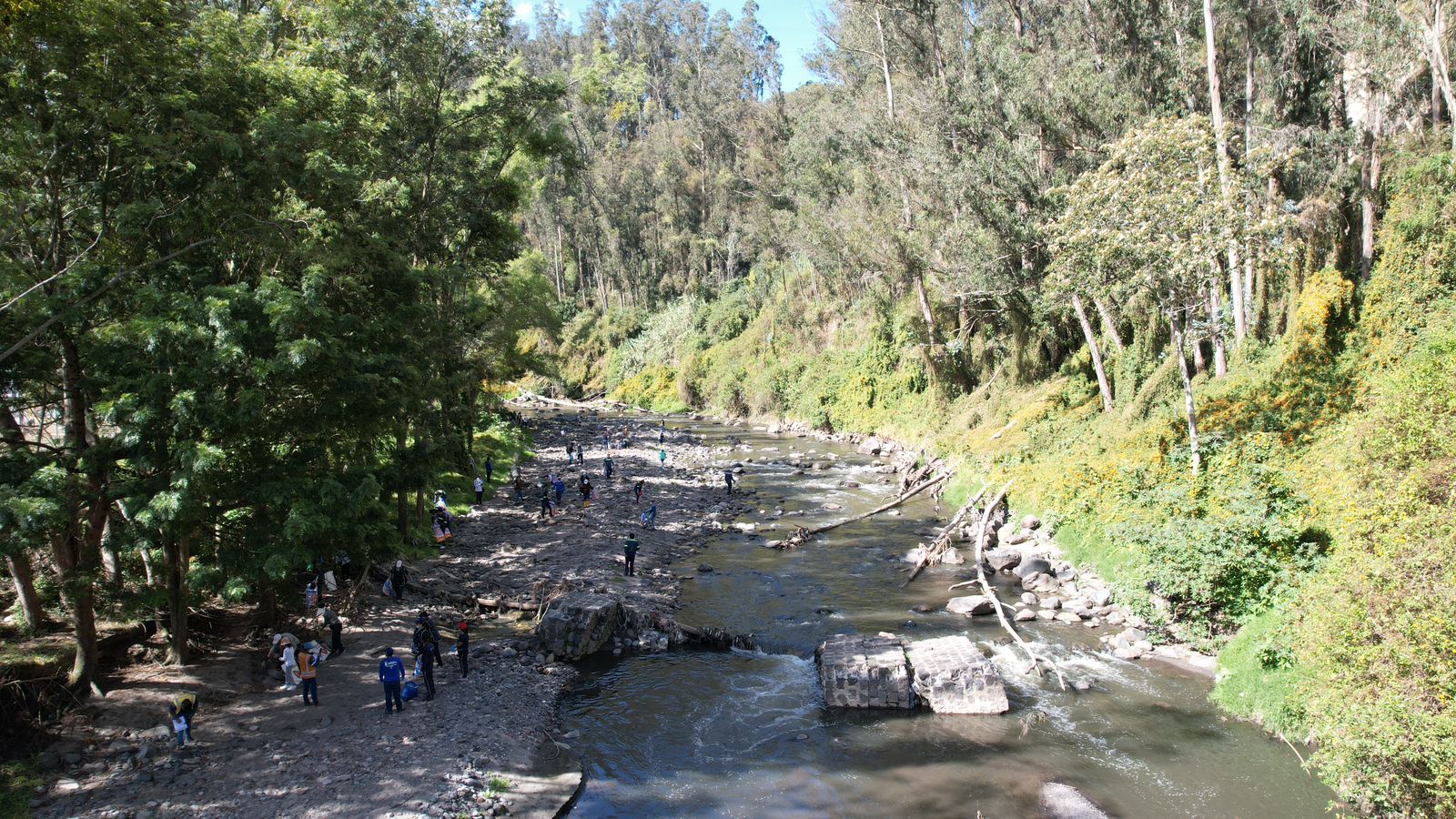Colaboradores EEQ durante la limpieza del río San Pedro.