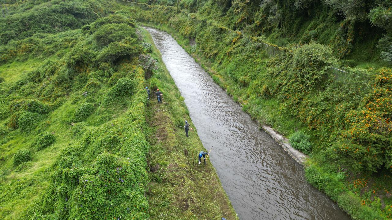 Cinco trabajadores de Servicios Forestales podan las áreas del canal de descarga de Guangopolo.