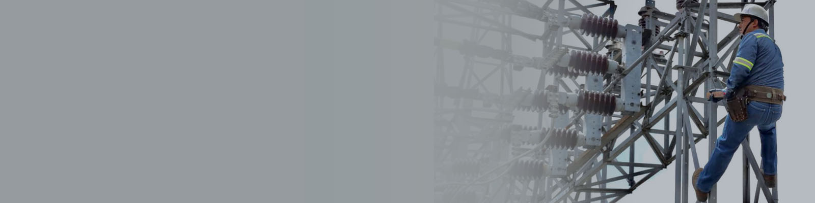 Responsive Image 1