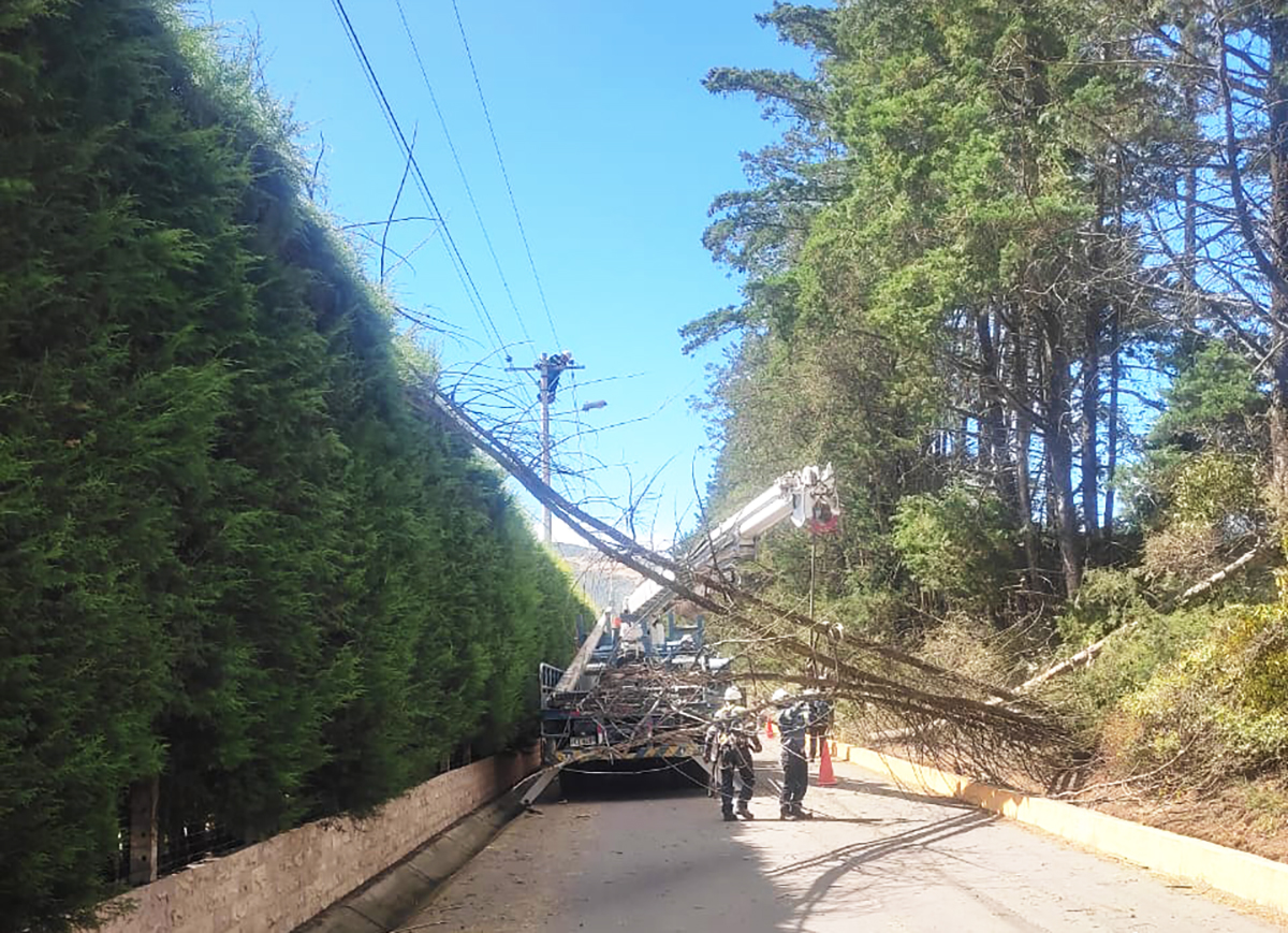 EEQ INCREMENTA ATENCIÓN ANTE EMERGENCIAS POR FUERTES VIENTOS