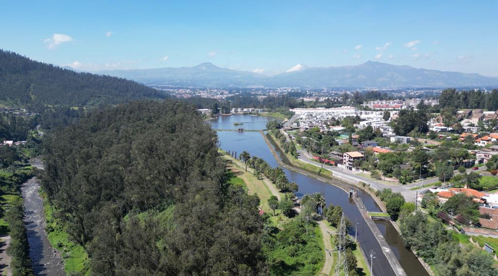 CONTROL Y MANEJO DE GALLINAZOS EN TRES CENTRALES HIDROELÉCTRICAS DE LA EEQ